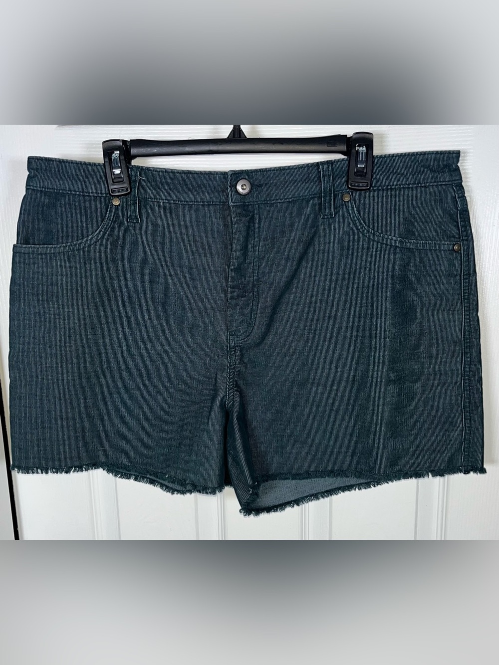 Carve Designs Women’s Oahu Corduroy Shorts Blue Casual Organic Cotton Size 16